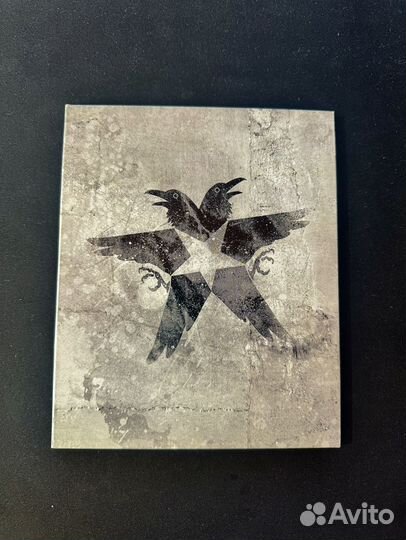 Infamous Второй сын Special Edition ps4