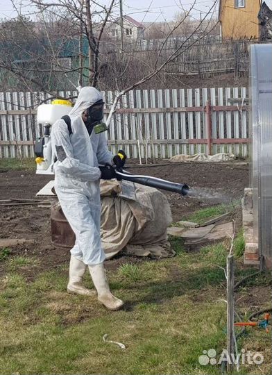 Средство для Уничтожения клопов, тараканов, крыс Дезинфекции