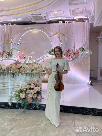 Скрипка, квартет, музыканты на праздник