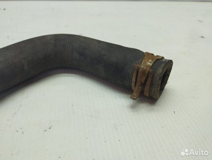 Патрубок радиатора нижний Nissan Note E11 CR14DE