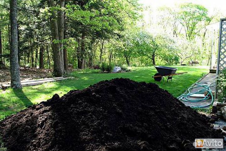 Торфогрунт