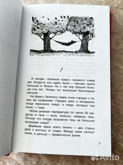 Луис Сашар Ямы