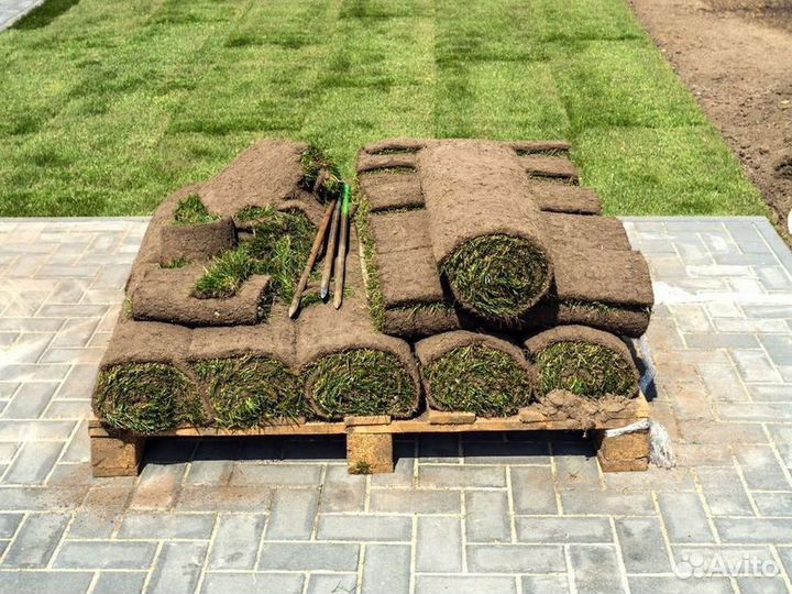 Рулонные газоны