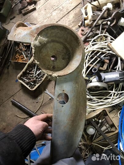 Заз горбатый передние крылья