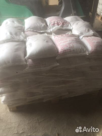 Ракушка морская кормовая