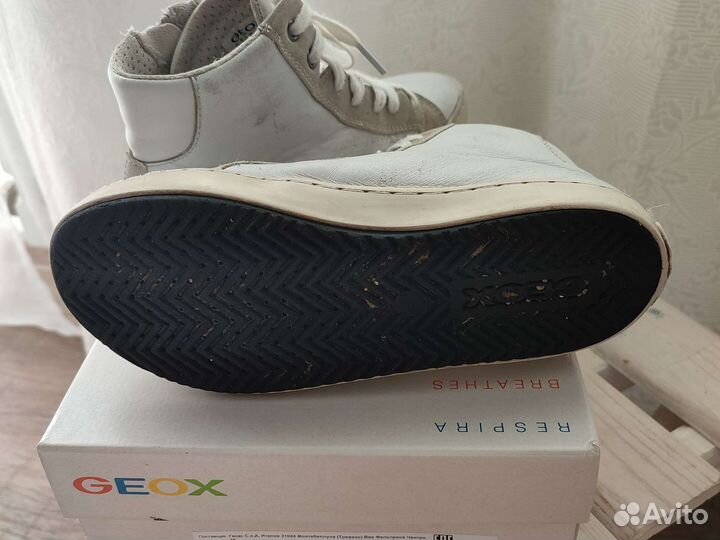 Кеды кожанные geox (кроссовки)