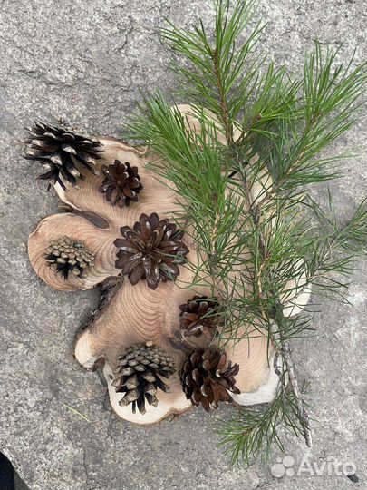 Шишки для творчества и декора