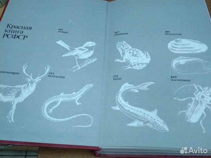 Красная книга