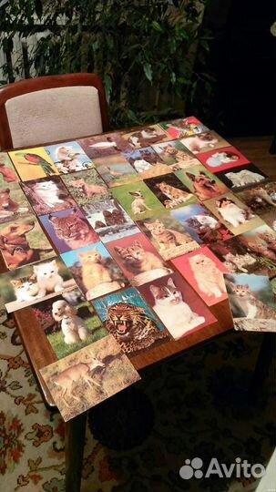 Коллекция открыток гдр 60-80 годы одним лотом239шт