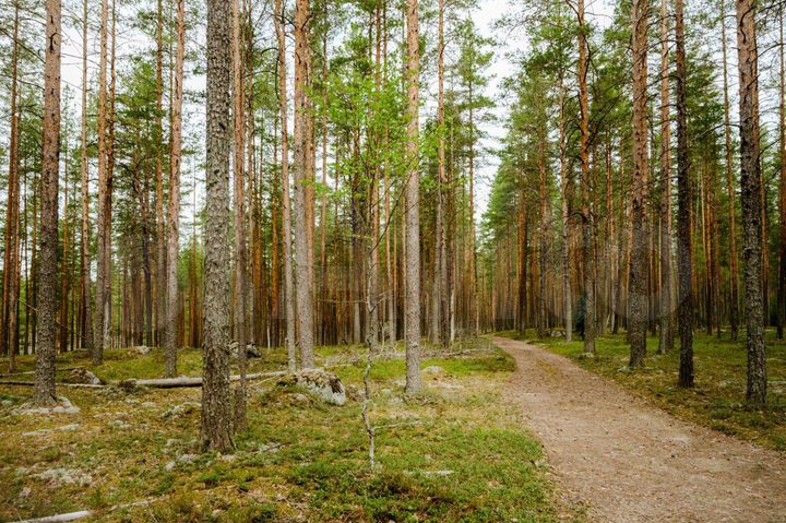 Участок 2 га (СНТ, ДНП)