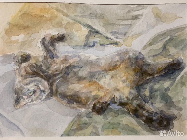 Рисунки на заказ