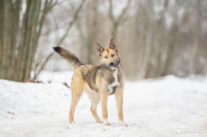 Лёха ищет дом и настоящих родителей