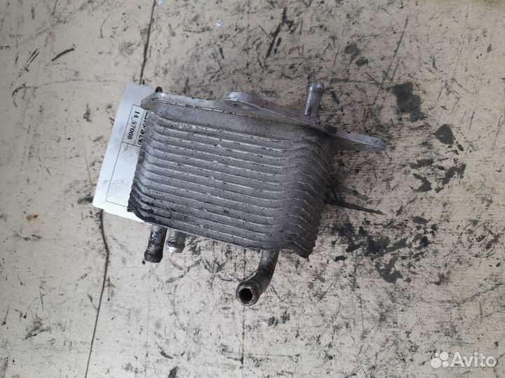 Мерседес С-Класс Радиатор масляный