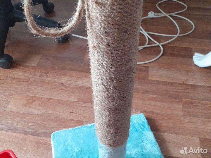 Когтеточка, лоток