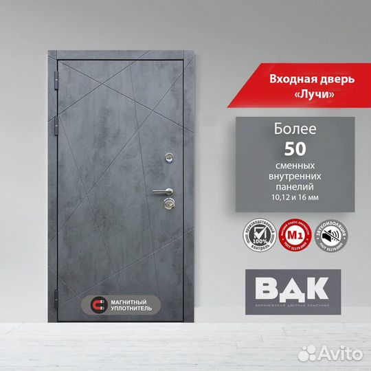 Дверь входная Лучи