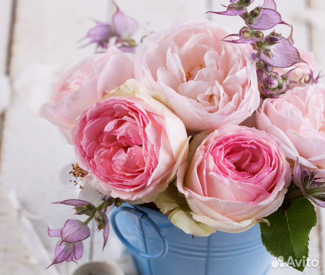 Живые Цветы, Букеты (204 квартал)