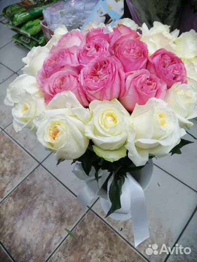 Роза 15,25,51 и 101