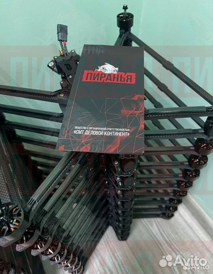 Бпла FPV Пиранья 7 и 10 дюйм