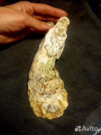 Ракушка с морем - подставка для украшений