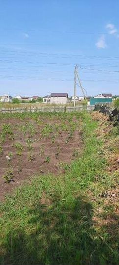 Участок 6 сот. (СНТ, ДНП)