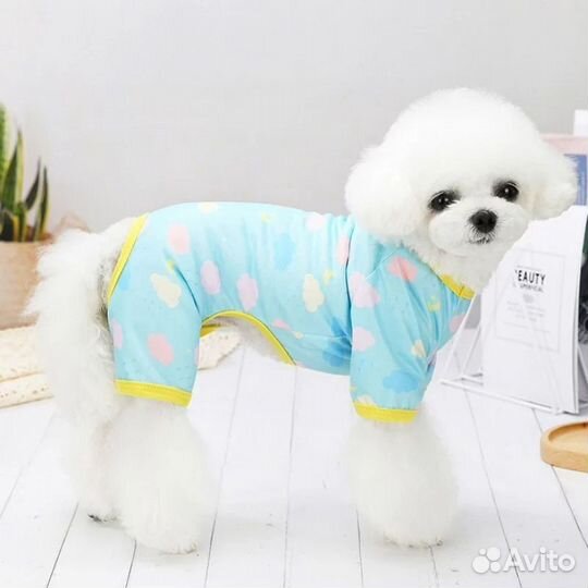 Много одежды и обуви для собак и кошек