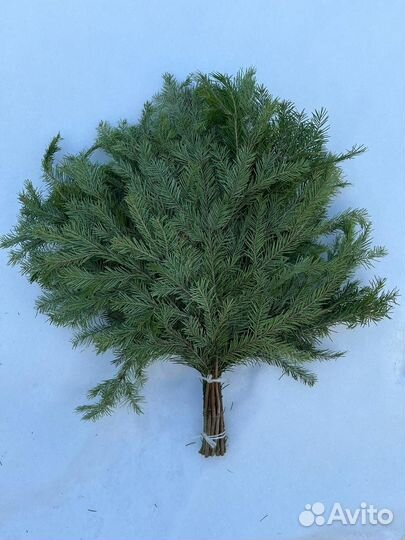 Веники для бани. Можжевеловый Только оптом