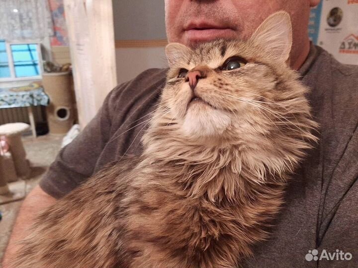 Я хочу домой