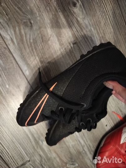 Сороконожки