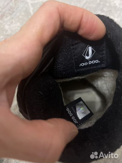 Полусапожки jog dog