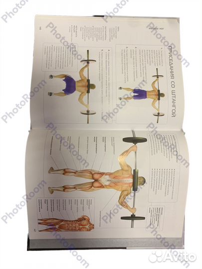 Анатомия наращивания мышц