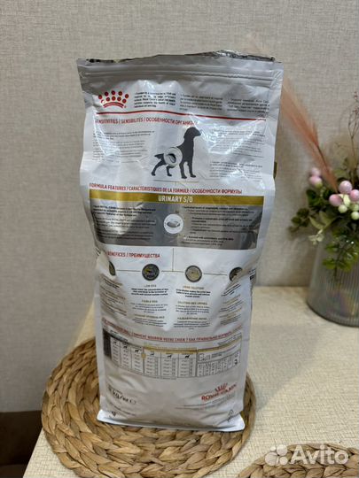 Корм для собак royal canin s/o