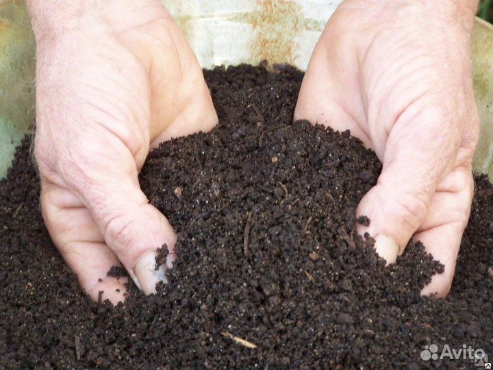 Навоз перегной конский