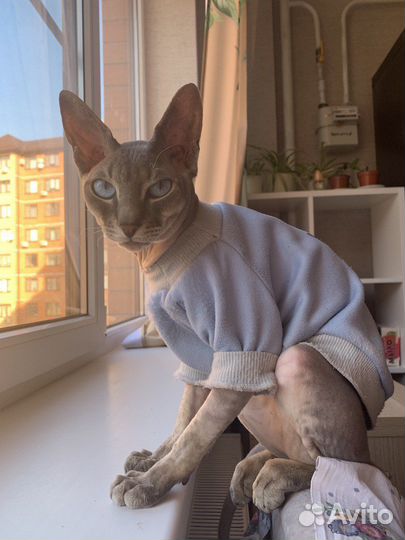 Вязка сфинкс