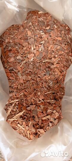 Алтайская кора сосны в наличии