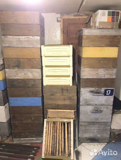 Сушь магазинная и гнездовая