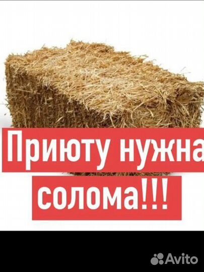 Нужна солома в приют для животных