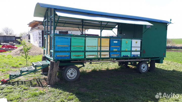 Продам пасеку