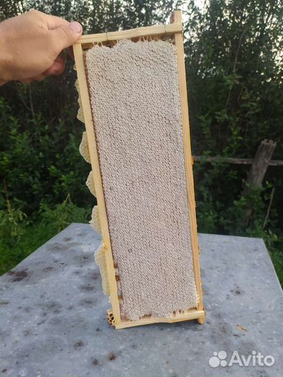 Сотовый мёд