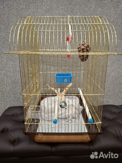 Клетка для попугая