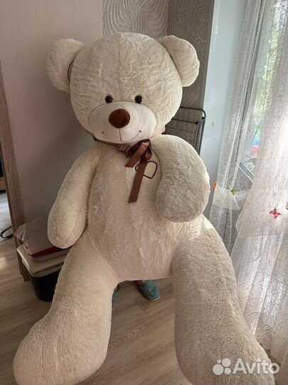Большие плюшевые медведи