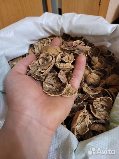 Скорлупа грецкого ореха