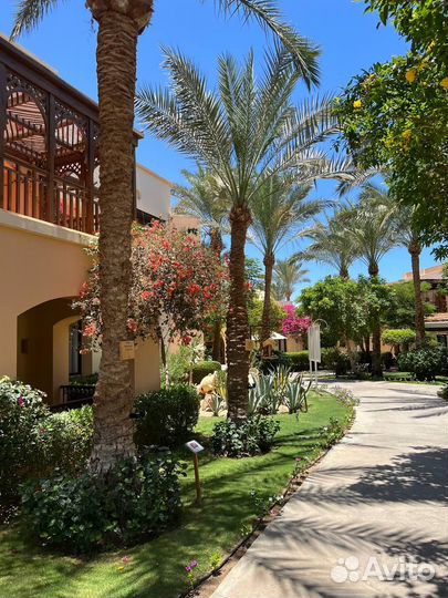 Тур в Египет/путевка из Сочи в Хургаду и Шарм-Эль