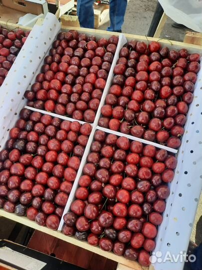 Черешня сладкая ящик