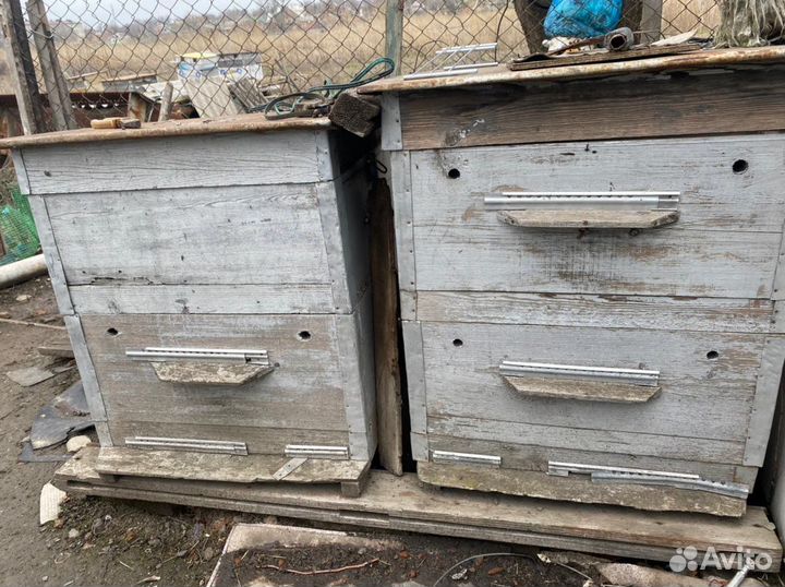 Улей для пчел