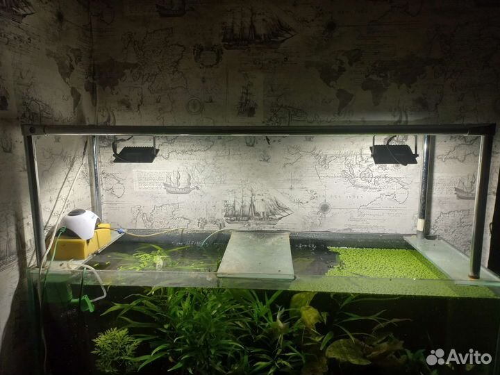 Аквариум