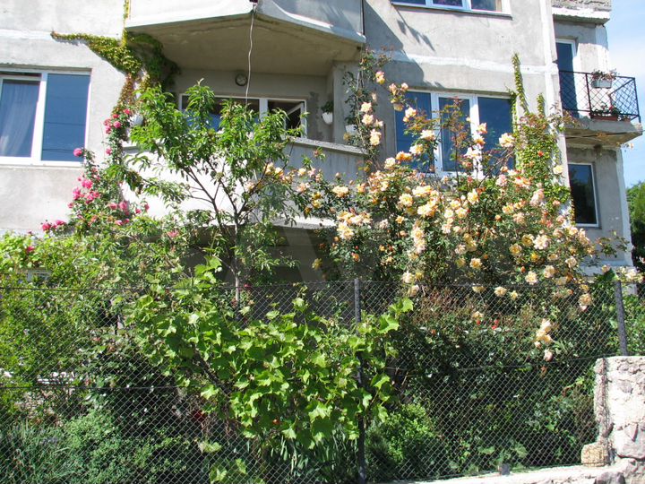 Дом 400 м² на участке 5 сот.