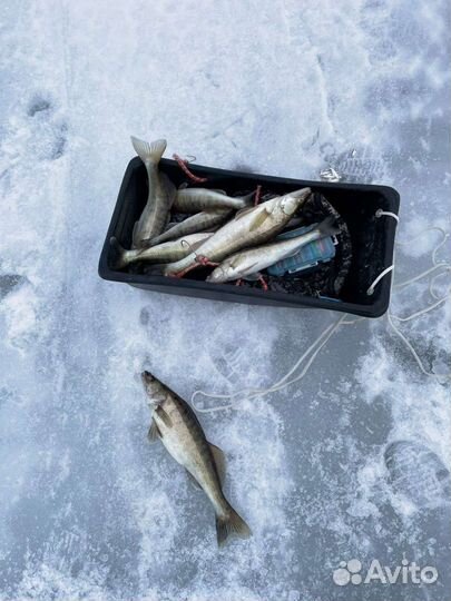 Эхолот практик 6м бу