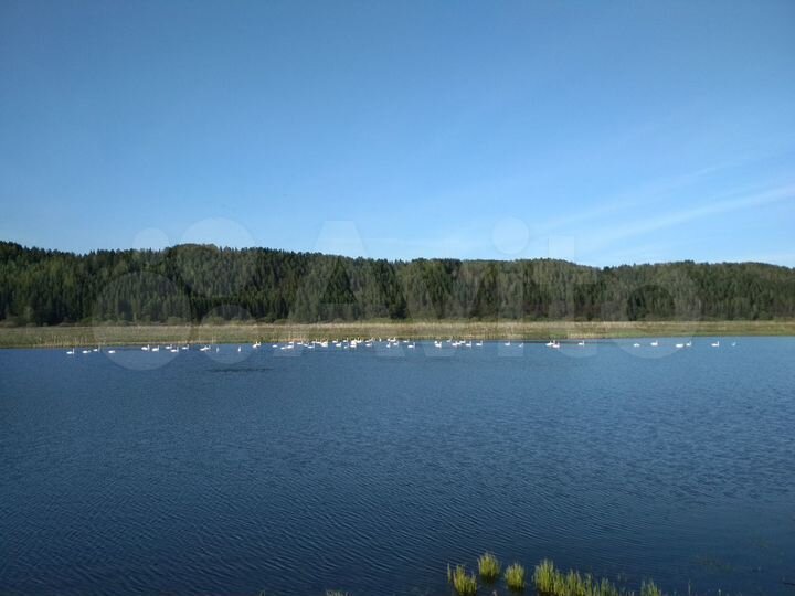 Дом 52 м² на участке 25 сот.