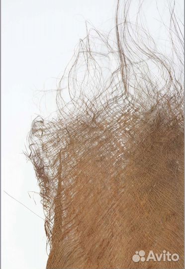 Кокосовое волокно, эвкалипт, трава для декора