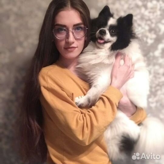 Передержка домашних животных